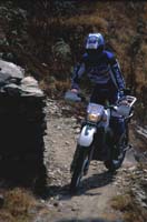 nepal282.jpg (13797 バイト)
