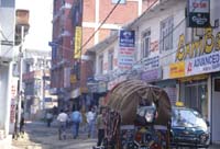 nepal302.jpg (16180 バイト)